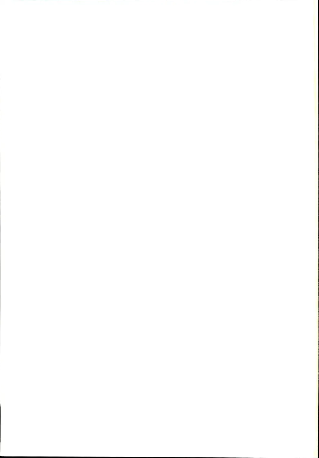 [Peso] Otonari no Nazrin wa Hanshokuki Fhentai - Page 23