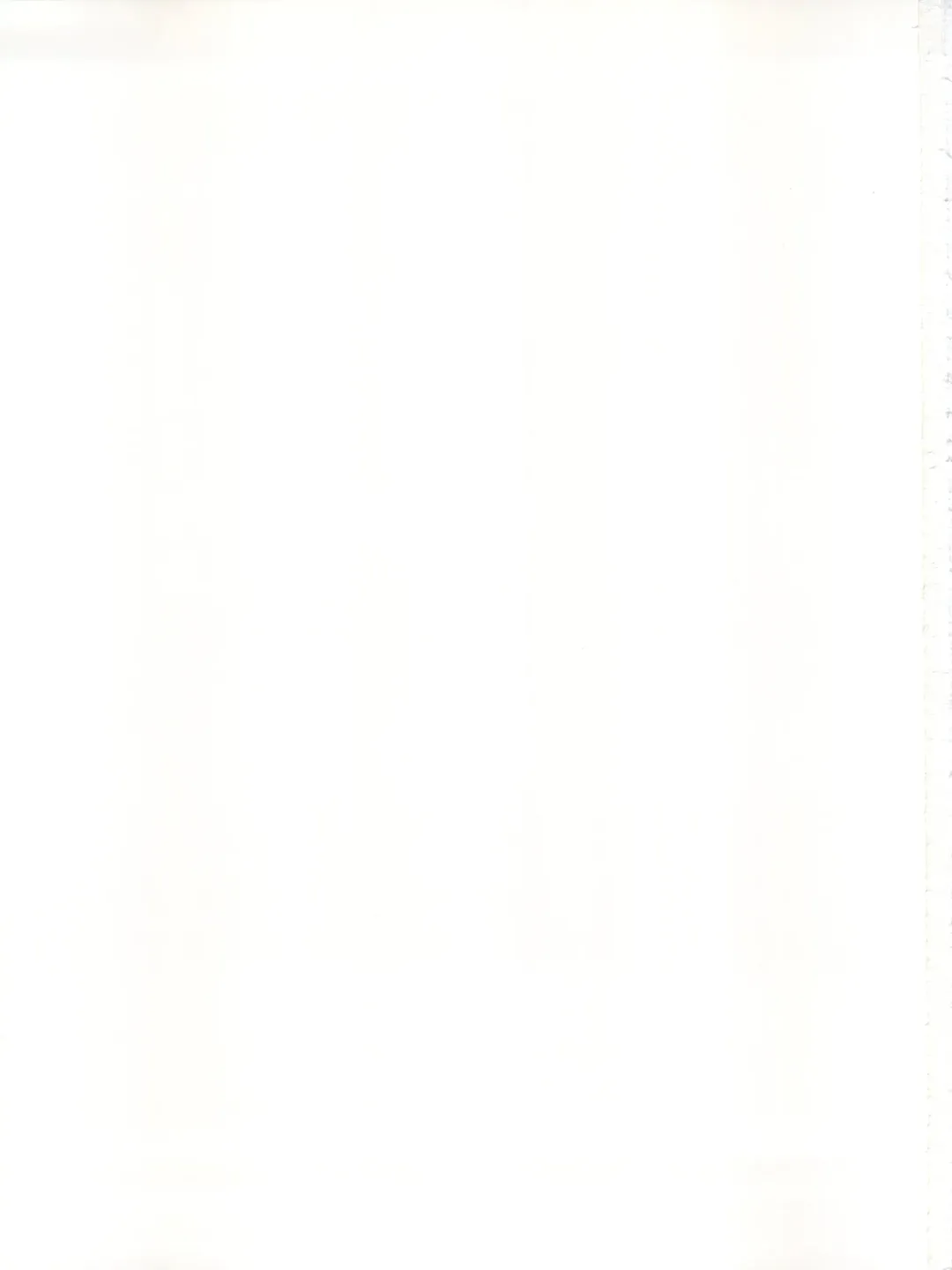 [Karura Syou] Individual 33 Ano Natsu no Kankei Fhentai - Page 19