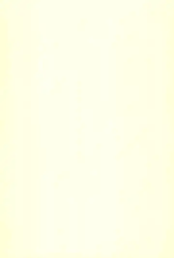 [Yoshi-puu] Marie to Issho ni Fhentai - Page 47