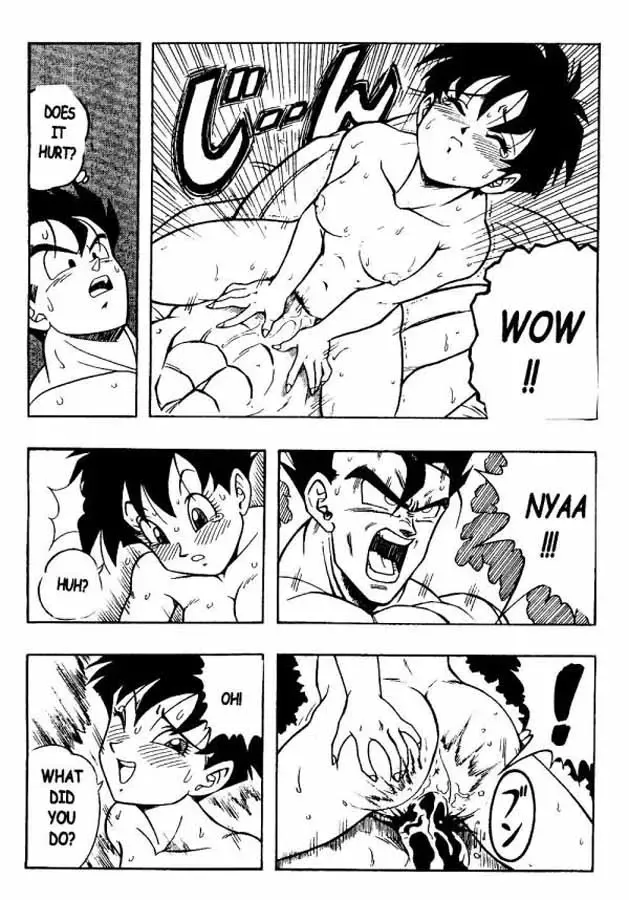 [Garland] Dragon Ball H 03 Fhentai - Page 19