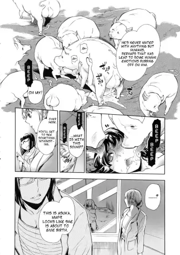 [Hattori Mitsuka] Butcher & the Butterfly Fhentai - Page 16