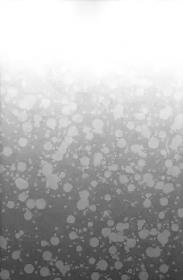 [Okino Matsushiro] Gaul Denka no Mizugi no Naka ni Fhentai - Page 4