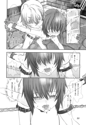 [Hiiragi Masaki] Shounen Maid Kuro-kun ~Kougyaku Hen~ Fhentai - Page 29
