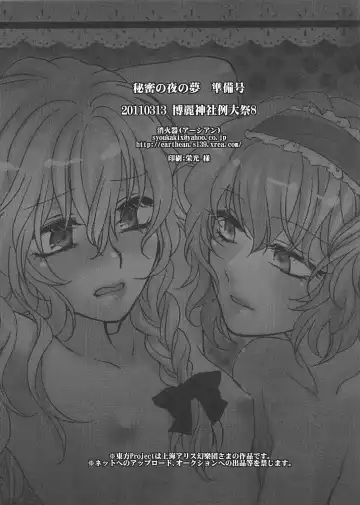 [Syoukaki] Himitsu no Yoru no Yume Fhentai - Page 17