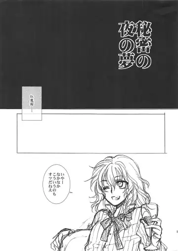 [Syoukaki] Himitsu no Yoru no Yume Fhentai - Page 4