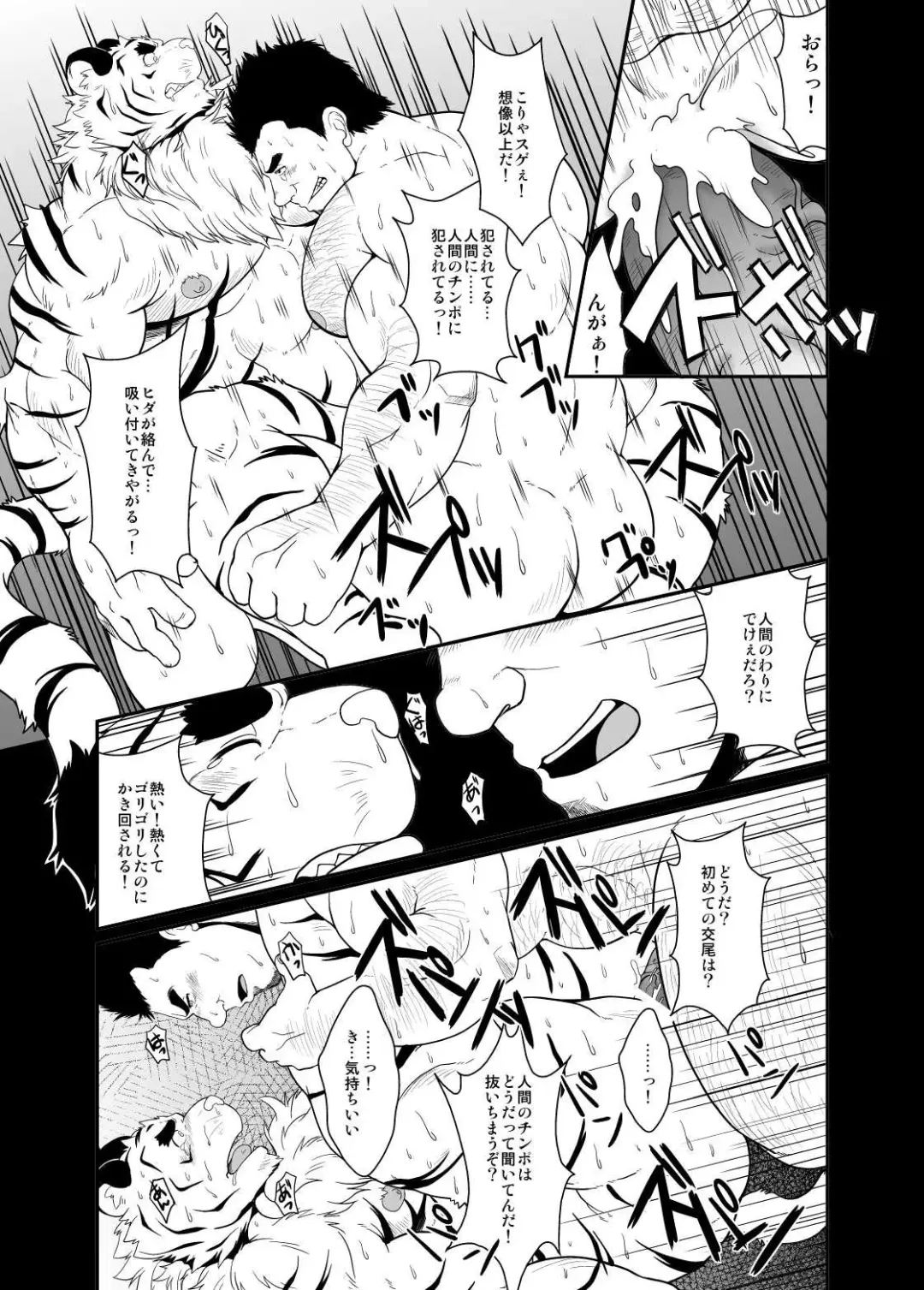 [Chobi] Toradorei -KEMONO Company 2- Fhentai - Page 14
