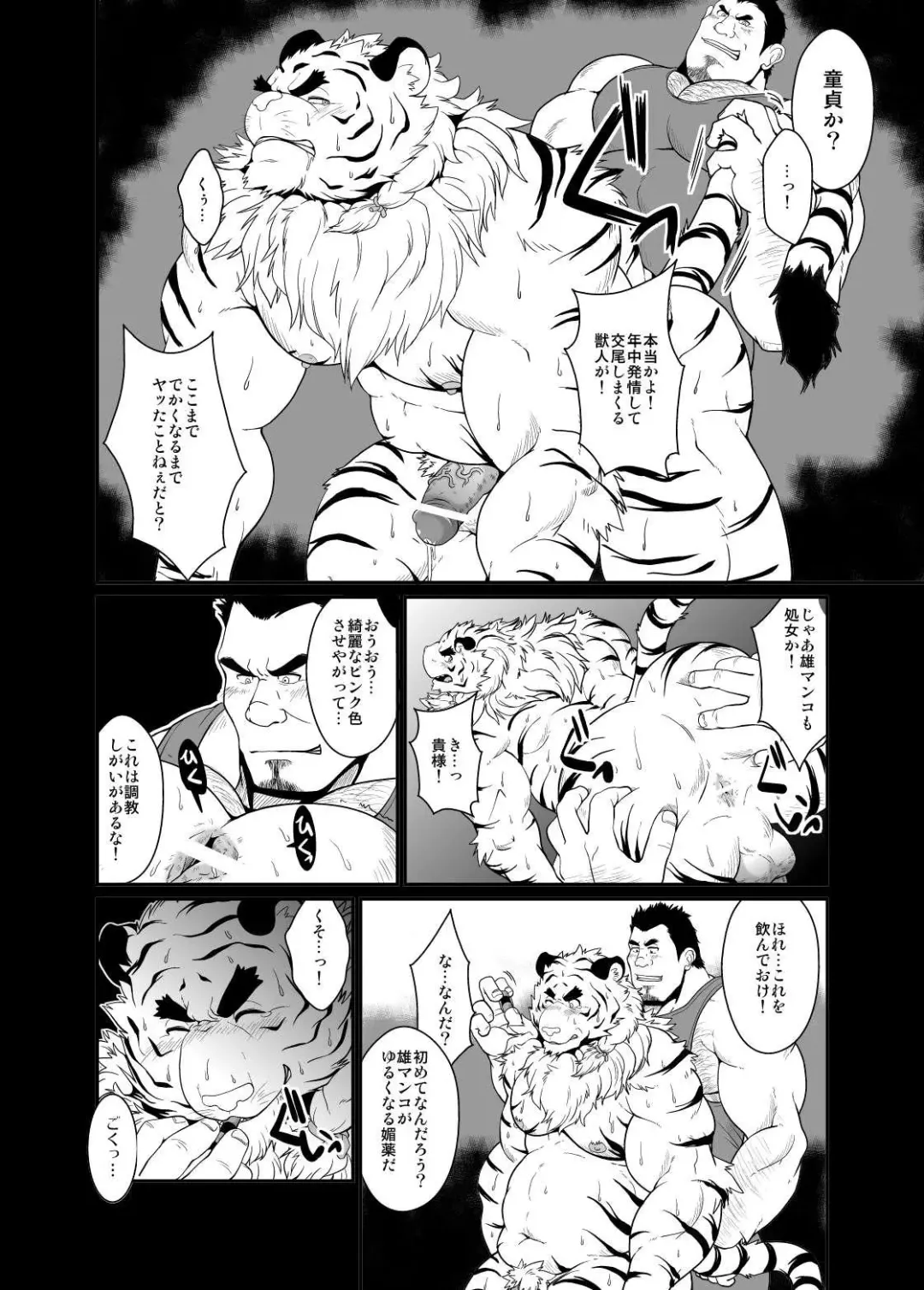 [Chobi] Toradorei -KEMONO Company 2- Fhentai - Page 9