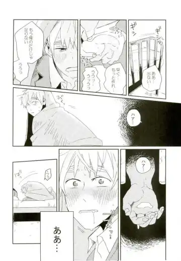 [Lora C] Komadori no Hina ga Oboreta Fhentai - Page 25