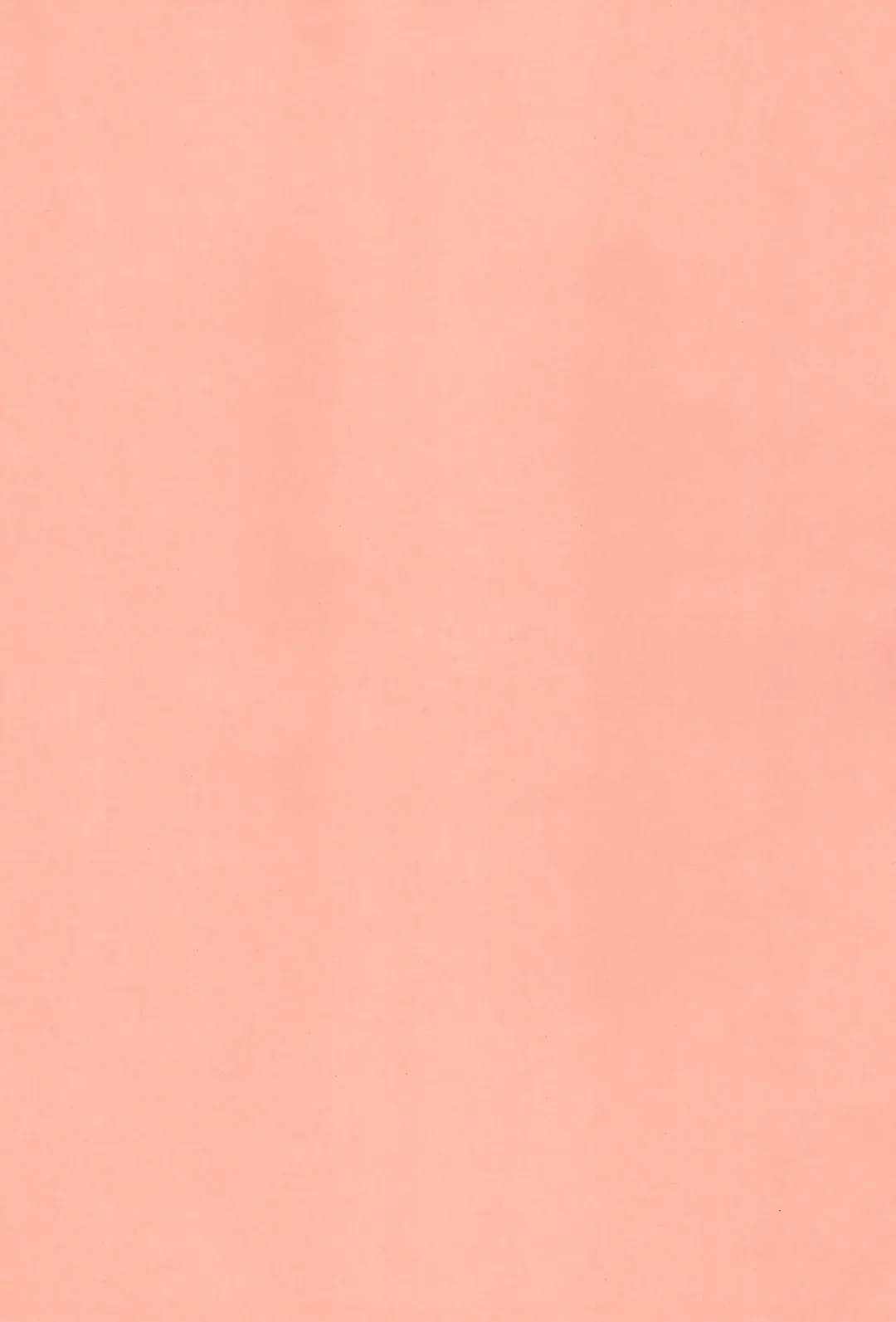 [Bu-chan] RED TEA Fhentai - Page 3