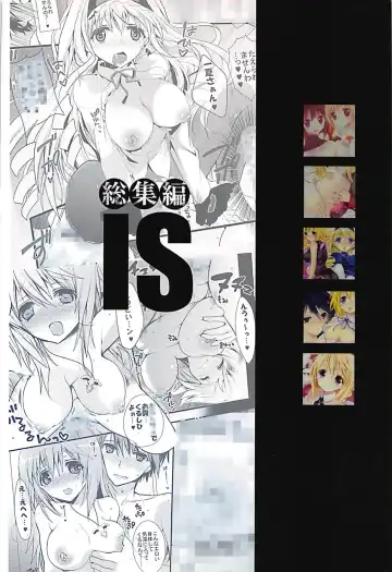 [Hitsuji Takako] IS Soushuuhen Fhentai - Page 174