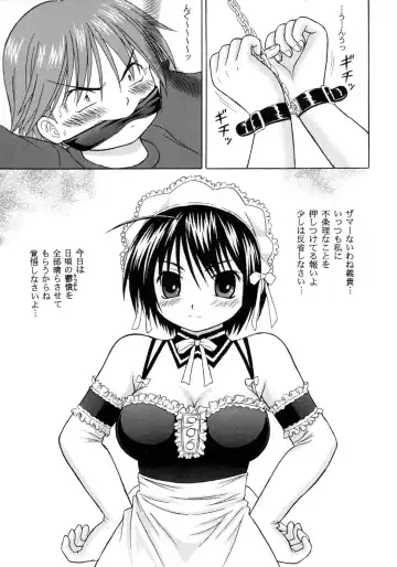 [Yamazaki Show] Kore demo Watashi no Goshujin-sama Volume:0 | Another Story of Gosyujinsama Volume 0 Fhentai.net - Page 5