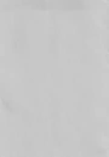 [Koikawa Minoru] Hatsujou Usagi to Asa made Okusuri Koubi Fhentai - Page 3