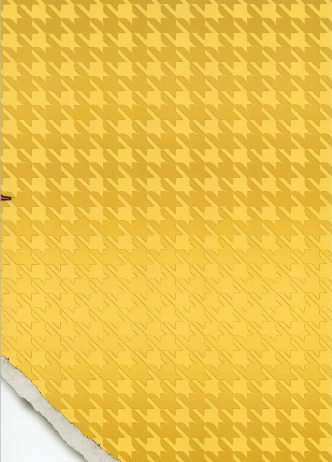 [Seigo] Honolulu-san Yaburekabure Fhentai - Page 22