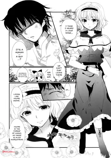 [Narumi] Inran Alice | Lewd Alice Fhentai.net - Page 3