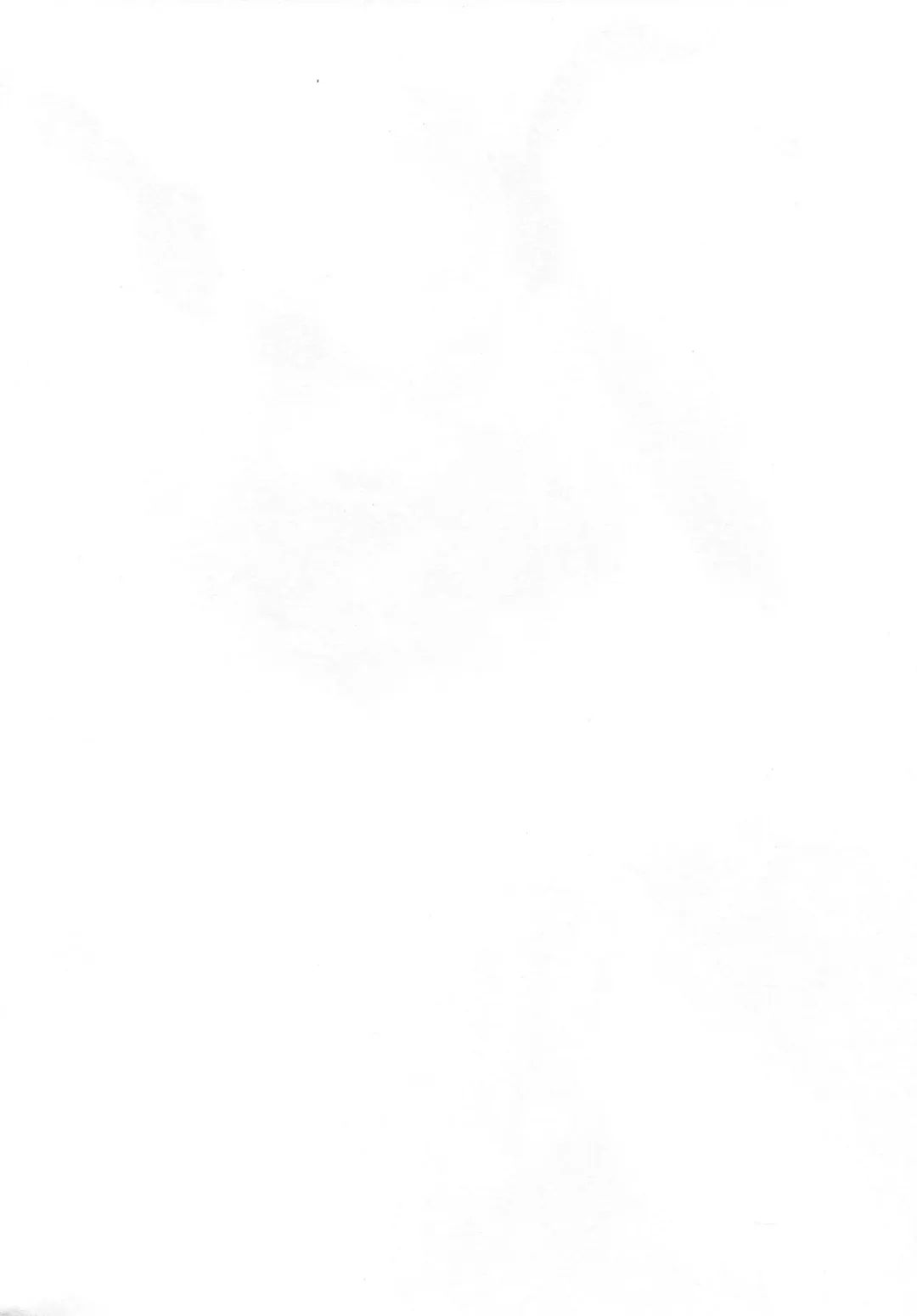 [Solopipb] Shiragasane -Tojinawa- Fhentai - Page 3