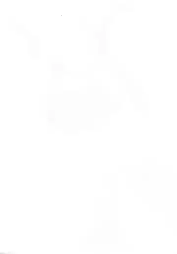 [Solopipb] Shiragasane -Tojinawa- Fhentai - Page 3