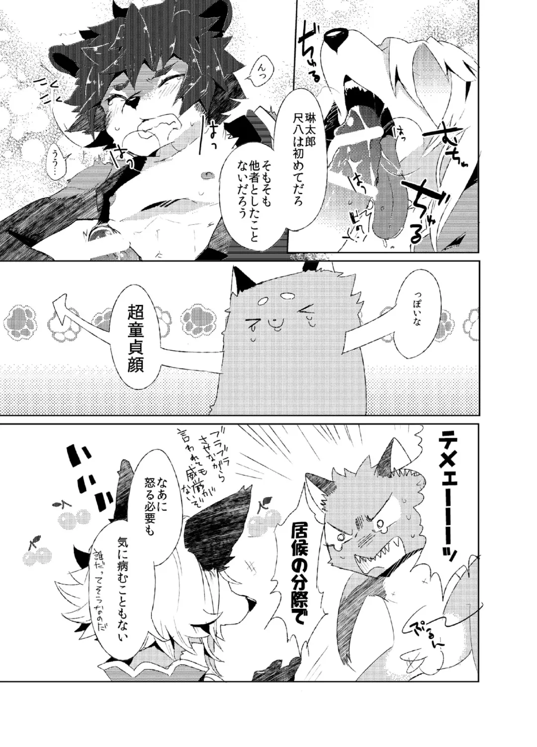 [Shiroi] Korimuchuu Fhentai - Page 12