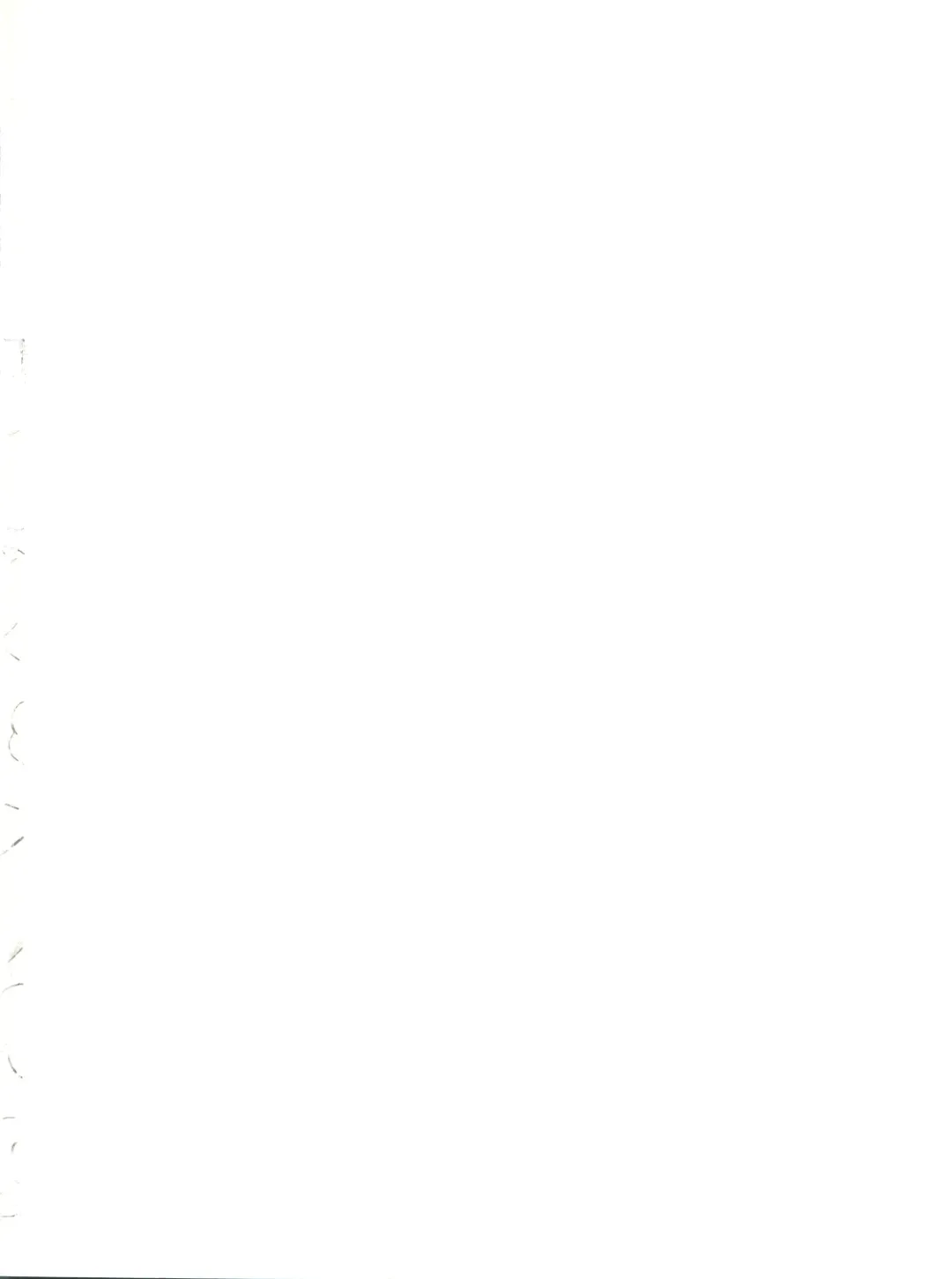 [Eiji] To LANYU-Ru Fhentai - Page 2