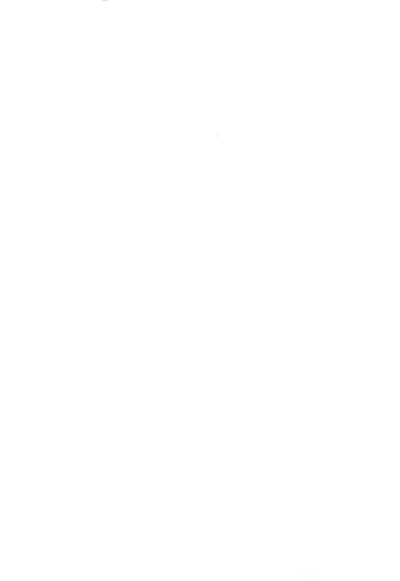 [Nimu] Usagi no Hajimete Fhentai - Page 2