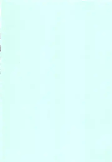 [Nimu] Usagi no Hajimete Fhentai - Page 3