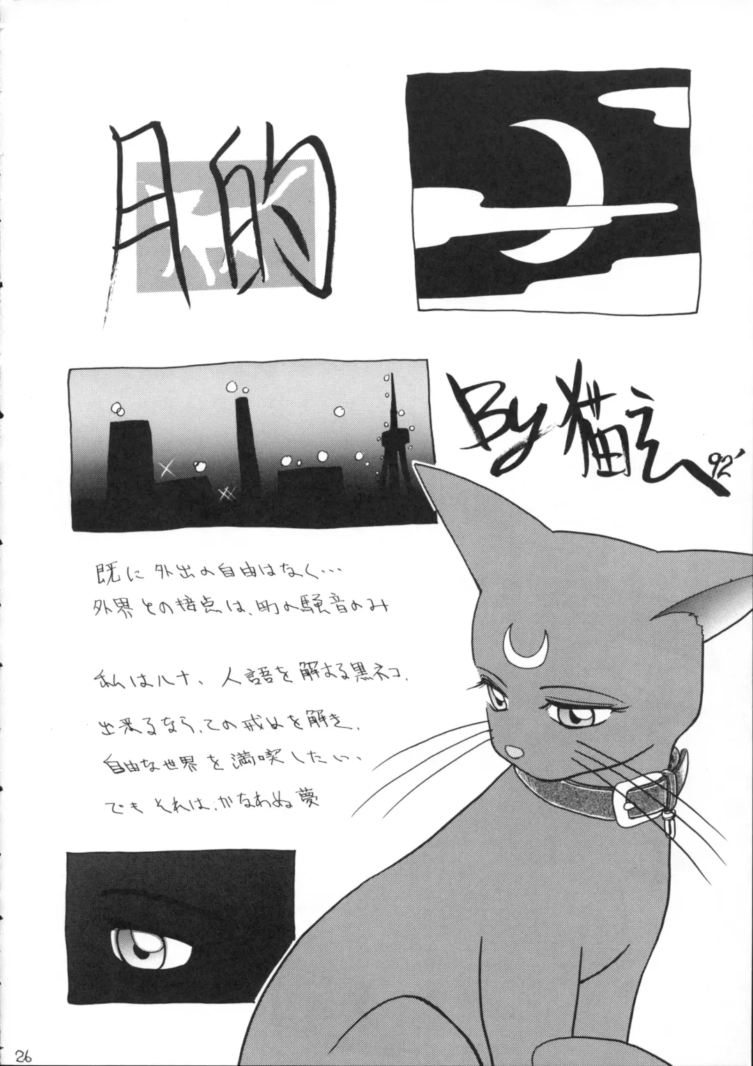 [Nekogen] Hidoi Hon Fhentai - Page 25
