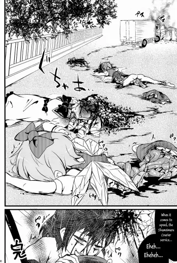 [Harasaki] Touhou Roadkill Joint Publication Fhentai - Page 4