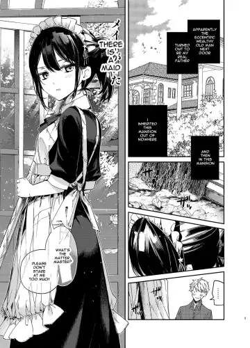 [Mutou Koucha] Jitome Maid-san to Love Love Ecchi Fhentai - Page 5