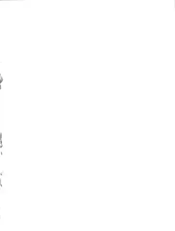 [Araki Akira] JET A GOGO Fhentai - Page 2