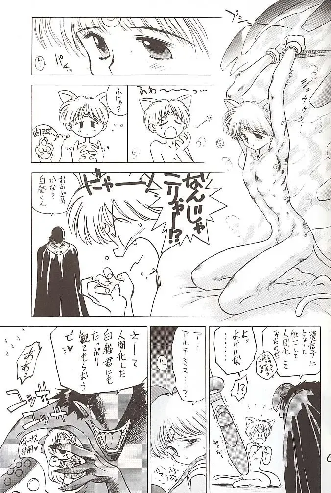 [Kuroinu Juu] Star Platinum Fhentai - Page 62