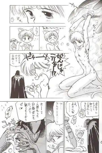 [Kuroinu Juu] Star Platinum Fhentai - Page 62