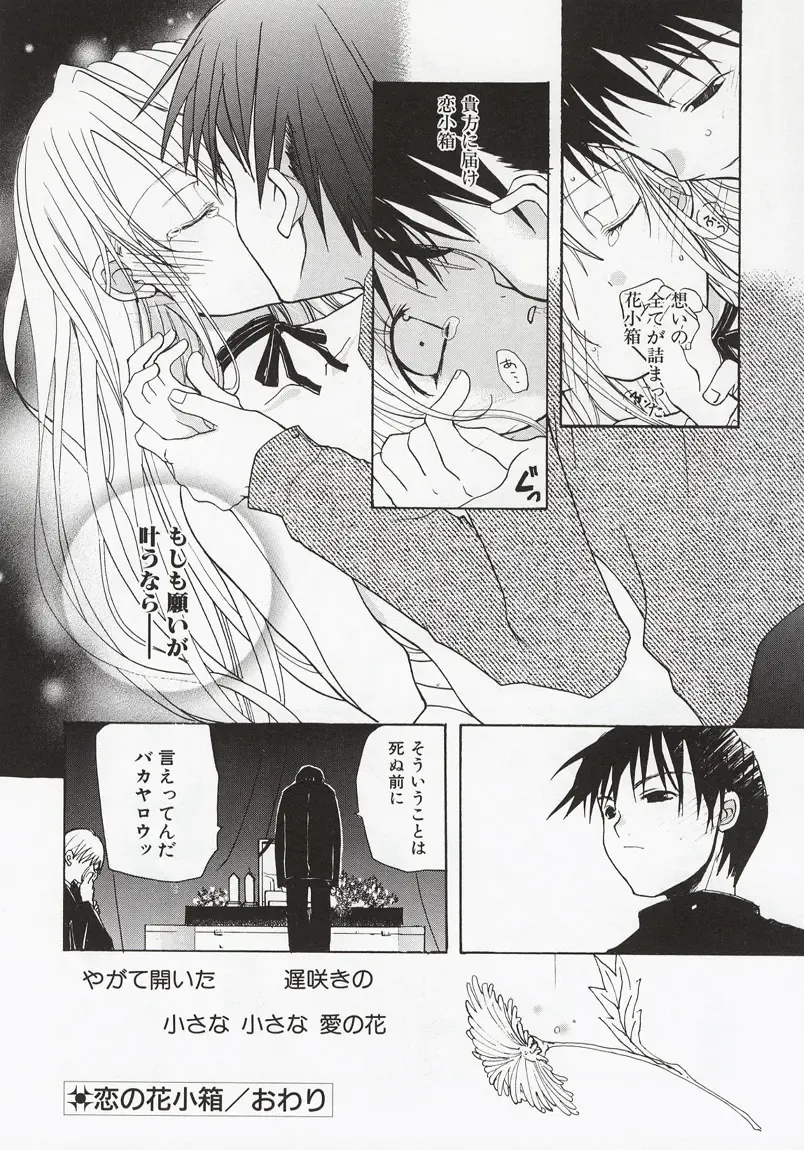 [Mizushima Sorahiko] Koi no Hanakobako Fhentai - Page 176