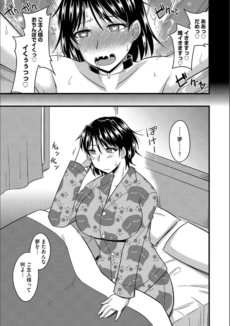 [Kamiya Ogawa] Tanin no Tsuma no Netorikata Fhentai.net - Page 64