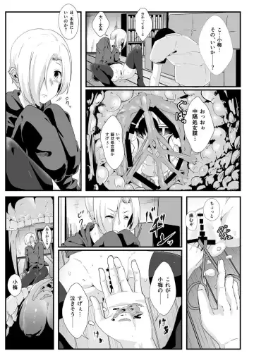 [Seuma] Koume no Shojomaku ga Tabetai Fhentai - Page 16
