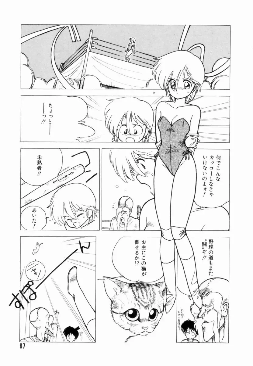 [Shinkaida Tetsuyarou] Encyclopedia of Tetsuyarou Shinkaida Vol.1 Fhentai - Page 68