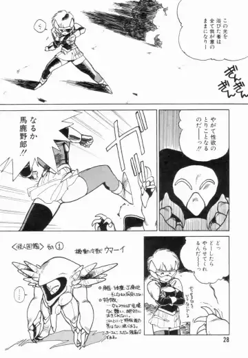 [Shinkaida Tetsuyarou] Encyclopedia of Tetsuyarou Shinkaida Vol.1 Fhentai - Page 29