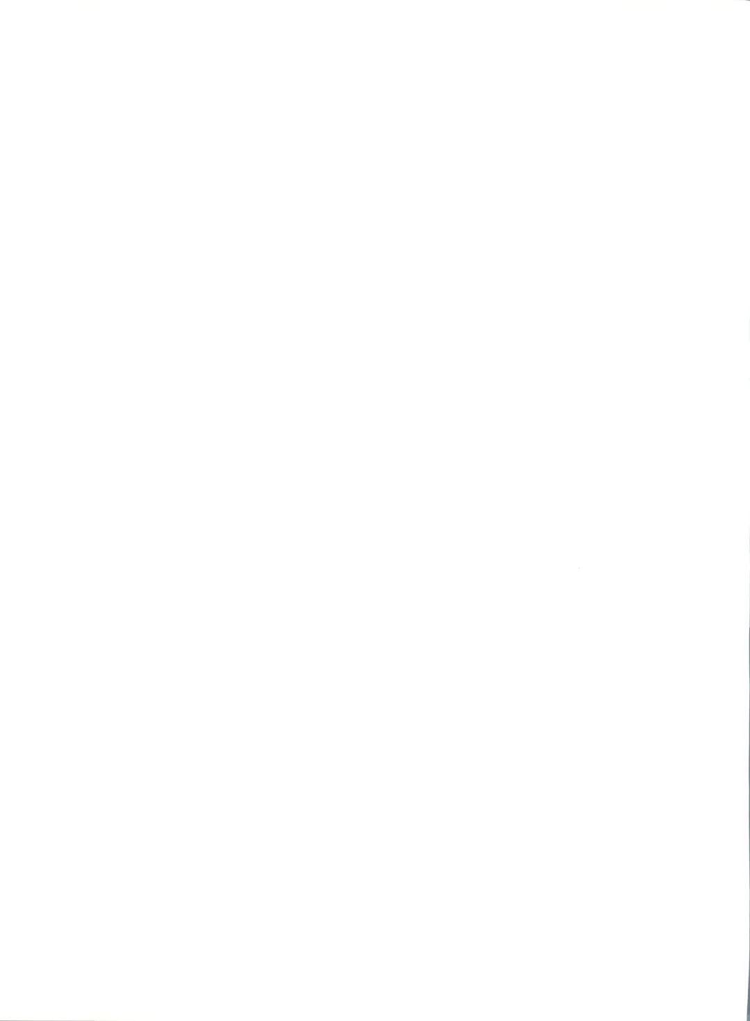 [Mimikaki] Otome-tachi no Adesugata 2 Fhentai - Page 39