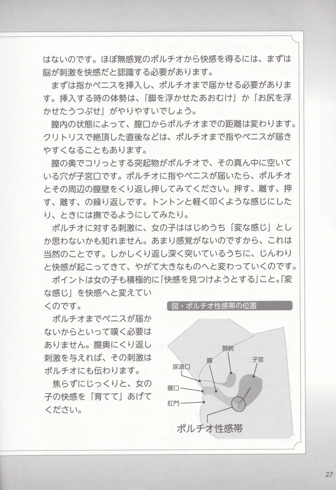 やらなくても解る性交と妊娠詳細解説 赤ちゃんのつくり方 Fhentai - Page 29