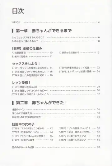 やらなくても解る性交と妊娠詳細解説 赤ちゃんのつくり方 Fhentai - Page 4