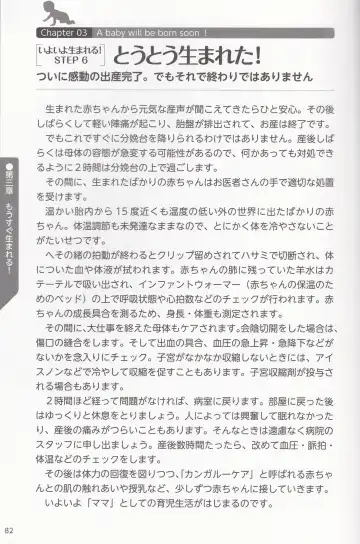 やらなくても解る性交と妊娠詳細解説 赤ちゃんのつくり方 Fhentai - Page 85