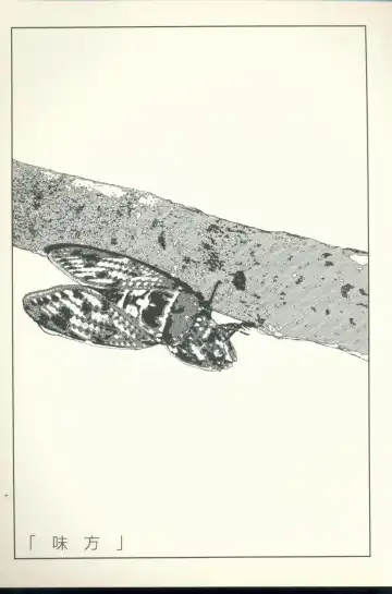 [Yamamoto Naoki] Televi Bakari Miteru to Baka ni Naru - Watching fuckin' TV all time makes a fool Fhentai - Page 92