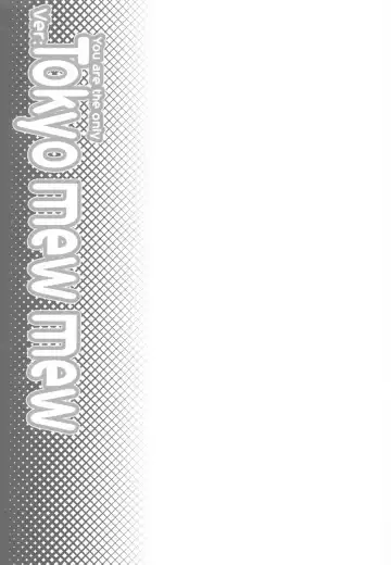 [Gody - Sasayuki] YOU ARE THE ONLY version:Tokyo mew mew Fhentai - Page 22