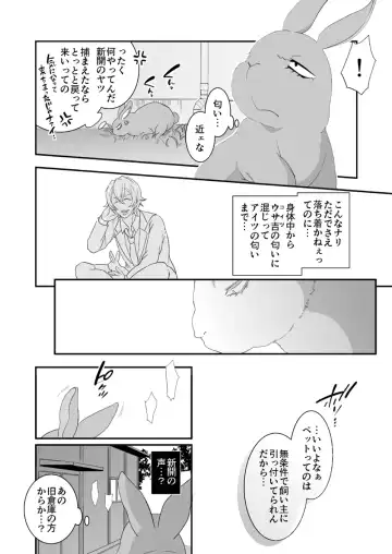 [Qnoji] Rabbitrip Fhentai - Page 17