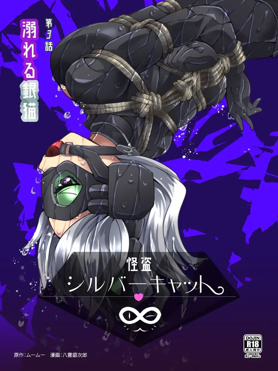 [Yakumo Ginjirou] Kaitou Silver Cat Manga Ban Dai 3-wa Fhentai - Page 1