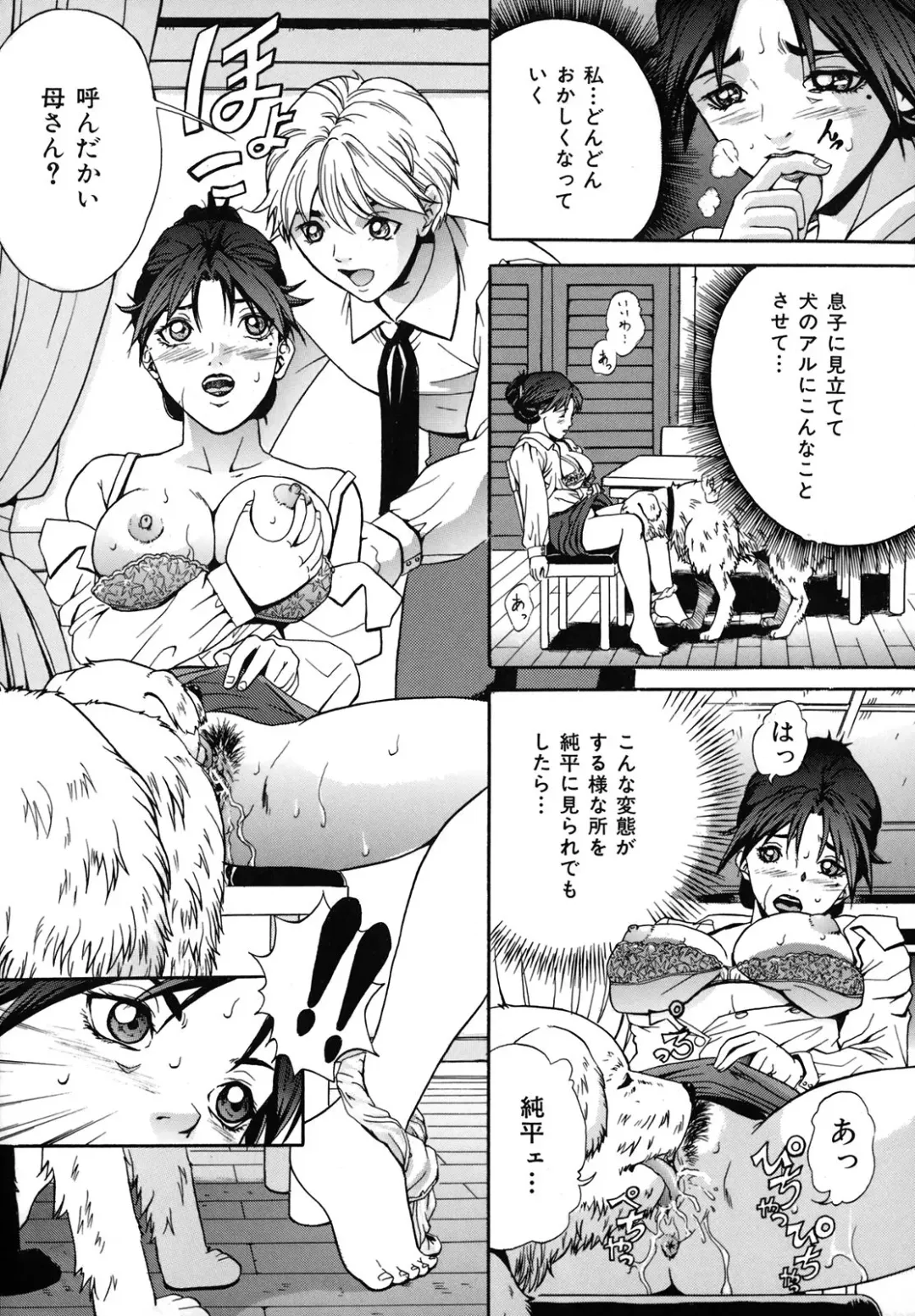 [Shizuki Shinra] Dorei Haha Monzetsu Imouto Fhentai - Page 12