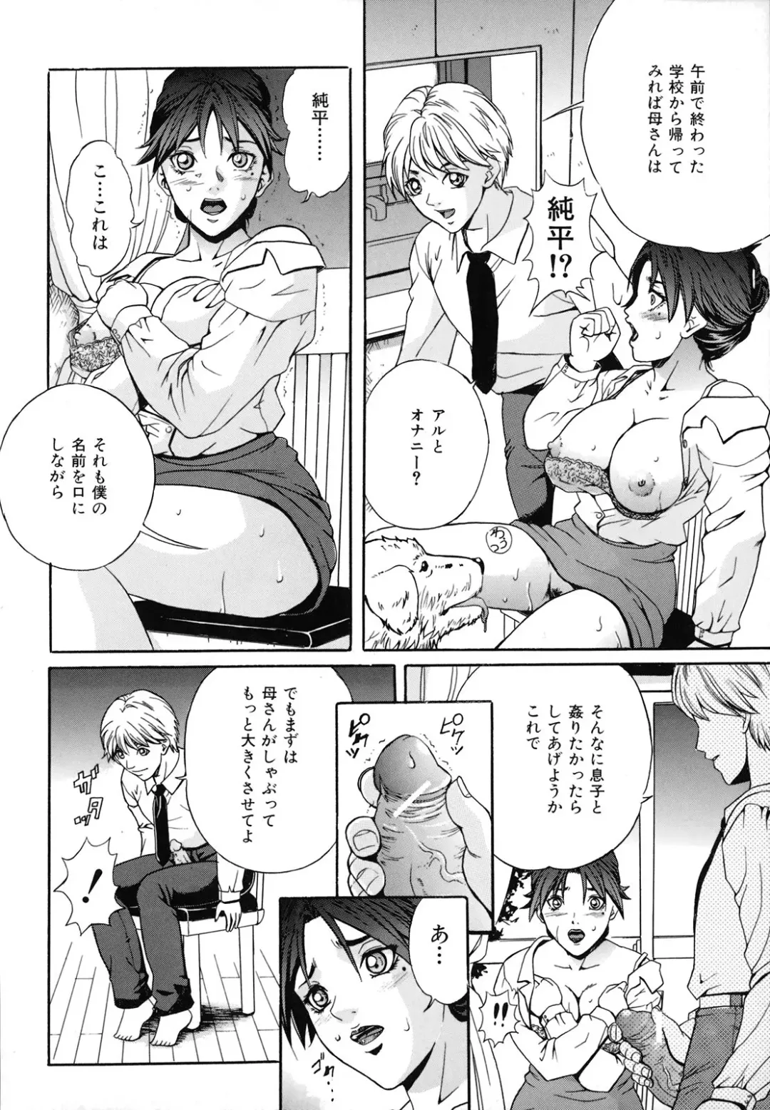 [Shizuki Shinra] Dorei Haha Monzetsu Imouto Fhentai - Page 13