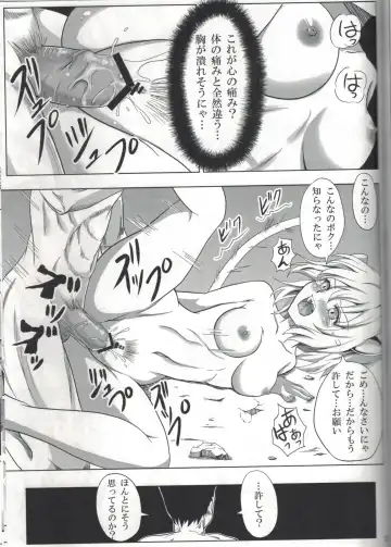 [Orenchin] Pitou x Hunter Fhentai - Page 20