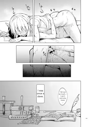 [Stealth Changing Line] Toaru Elf o Hikitorimashite Shunmin no Hi | Taking Care of a Certain Elf ~A Day of Spring's Slumber~ Fhentai.net - Page 22