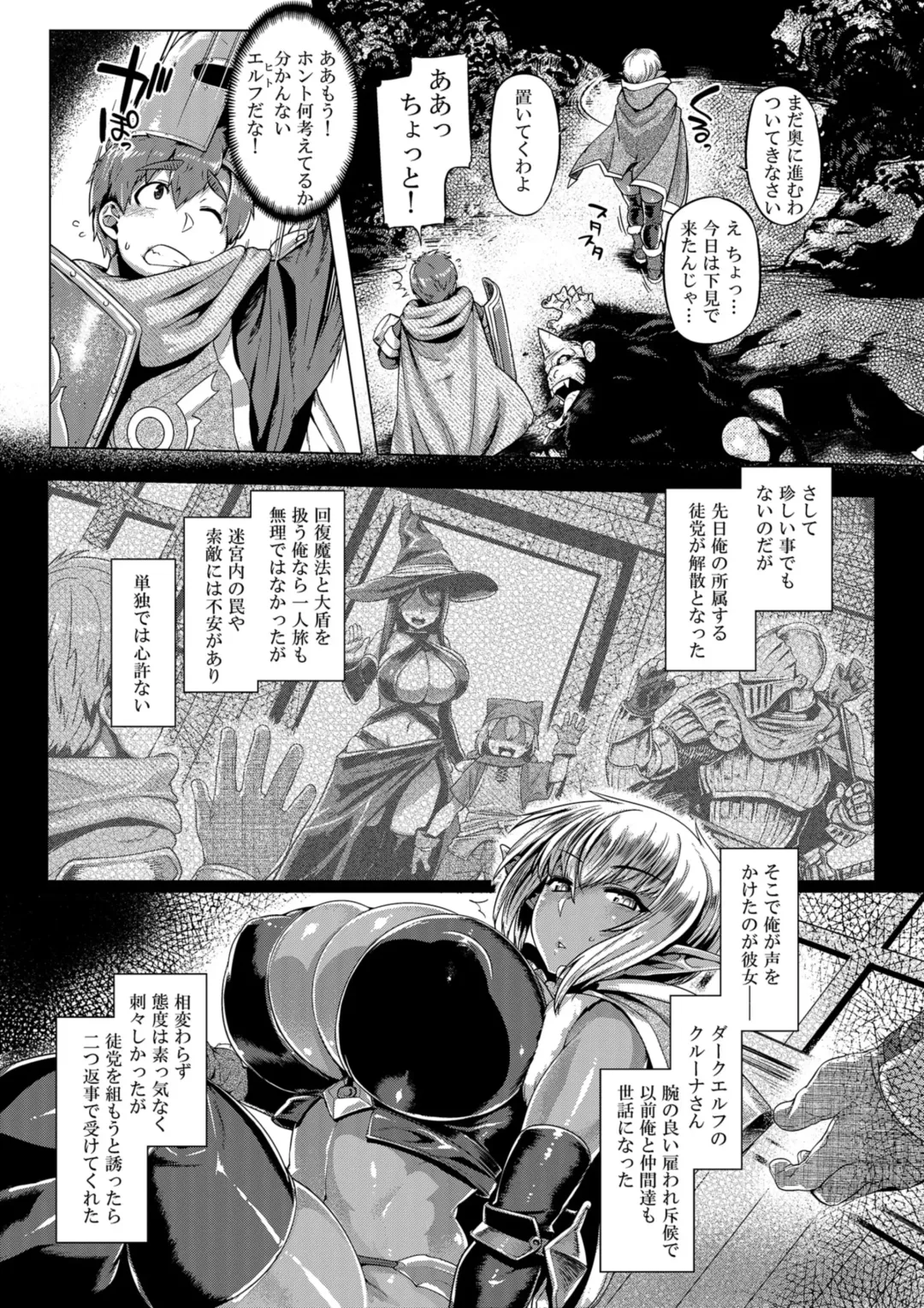 [Tabigarasu] Dark Elf Control Fhentai.net - Page 5