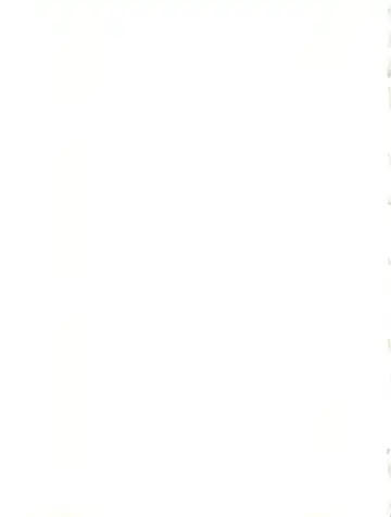 MAX Vol. 3 Fhentai - Page 49