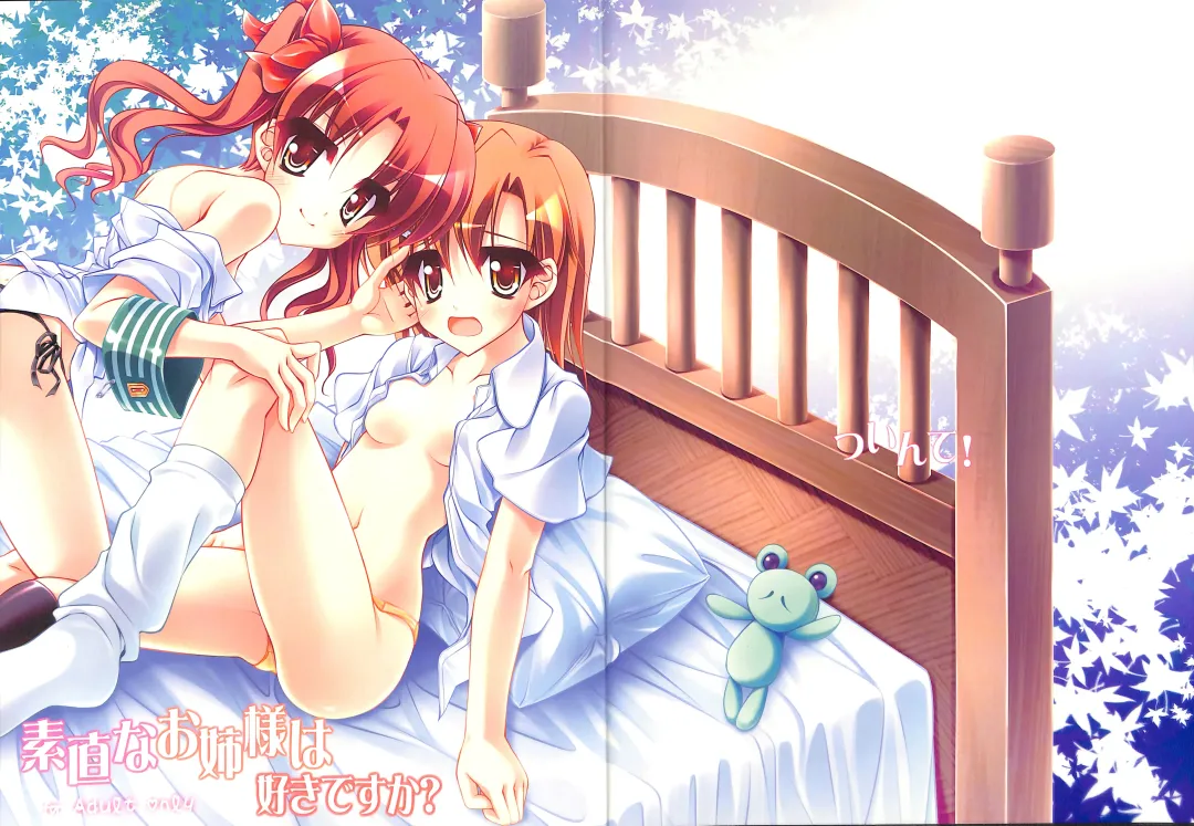[Teruwi] Sunao na Onee-sama wa Suki desu ka? Fhentai - Page 1